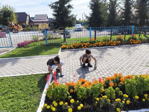 Учащиеся Лаишевского района провели первый субботник в новом учебном году