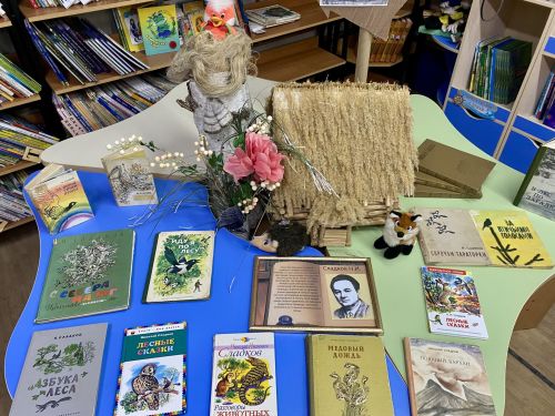 В Лаишевской детской библиотеке открылась книжная выставка