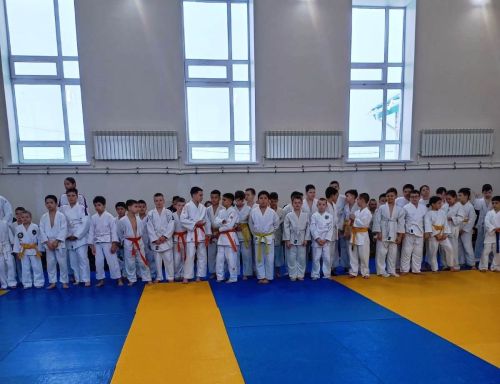 В первенстве Лаишевского района по дзюдо участвовало около 130 спортсменов