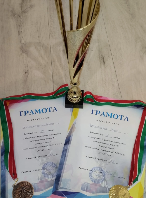 Дзюдоисты из Каипской школы заняли призовые места на первенстве Лаишевского района
