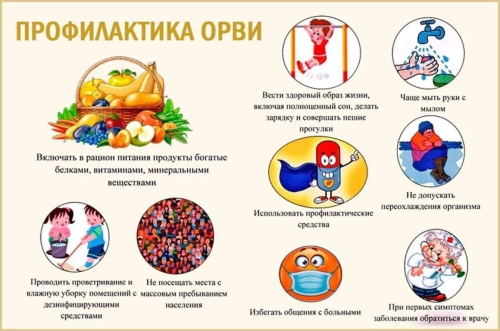 В прогимназии прошла беседа о профилактике ОРВИ