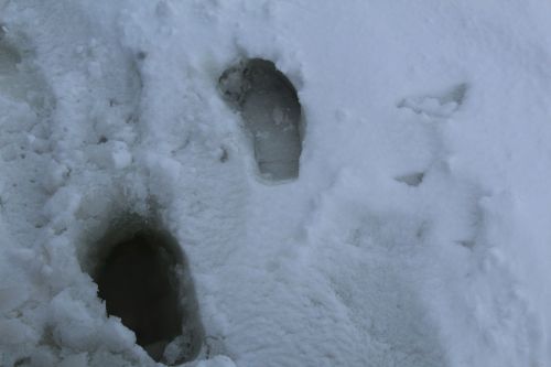 На Крещение в Лаишевском районе будет оттепель