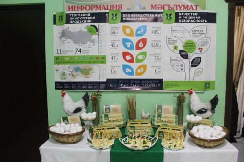 Александровское поселение Лаишевского района газифицировано на 99,9%