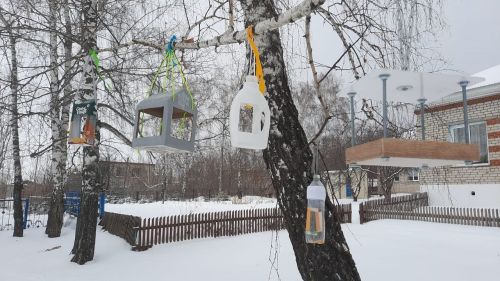 Лаишевские юные экологи организовали «столовую» для птиц