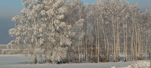В Лаишевском районе сохраняется морозная погода