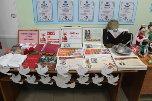 В Пелевском поселении Лаишевского района ведется систематическая работа по благоустройству
