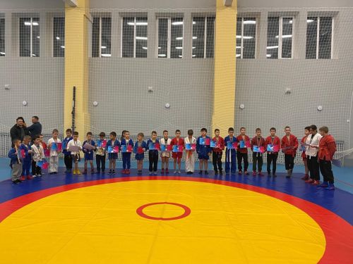В Лаишевском районе состоялись соревнования среди самбистов-новичков