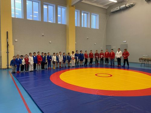В Лаишевском районе состоялись соревнования среди самбистов-новичков