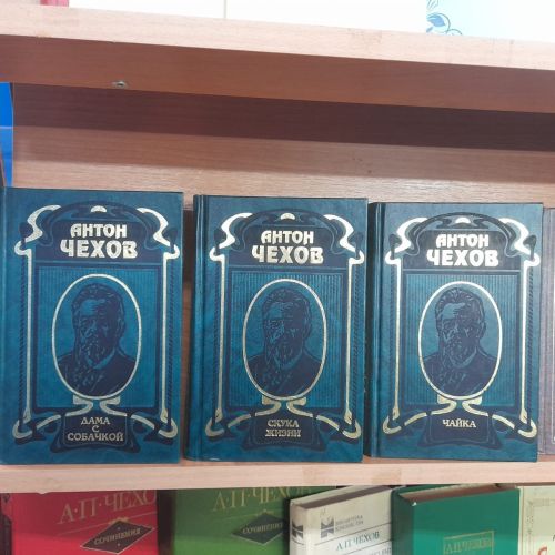 В Лаишевской библиотеке организована книжная выставка «Необъятный мир Чехова»