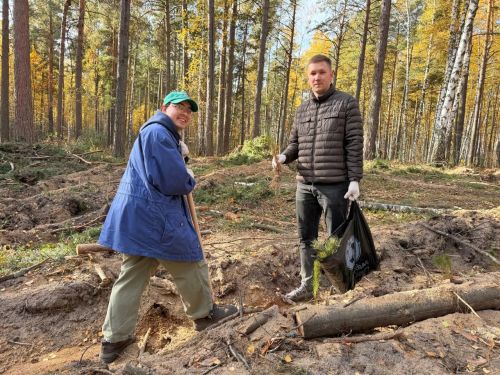 Леса Лаишевского района пополнились тысячами молодых саженцев