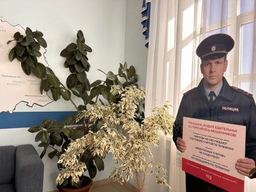 Полицейский с памяткой: в Лаишевском отделе образования появился символ борьбы с мошенничеством