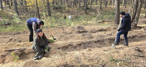 Леса Лаишевского района пополнились тысячами молодых саженцев