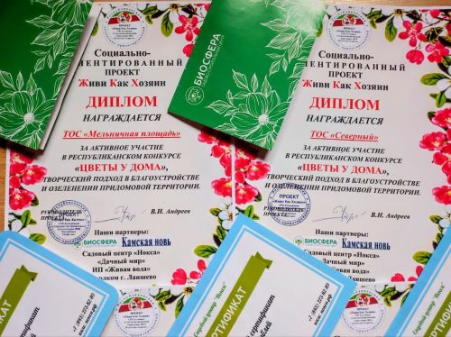 «Цветы у дома»: торжество красоты и благоустройства