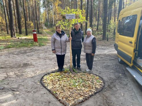 Леса Лаишевского района пополнились тысячами молодых саженцев