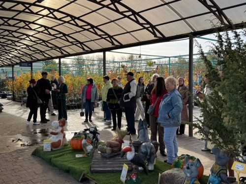 «Цветы у дома»: торжество красоты и благоустройства