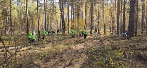 Леса Лаишевского района пополнились тысячами молодых саженцев