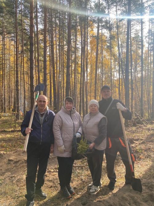 Леса Лаишевского района пополнились тысячами молодых саженцев