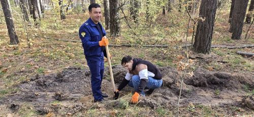 Леса Лаишевского района пополнились тысячами молодых саженцев