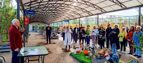 «Цветы у дома»: торжество красоты и благоустройства