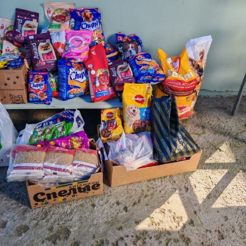 Учащиеся Лаишевского района оказали помощь приюту бездомных животных