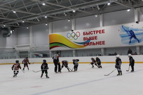 Пять хоккейных команд сражались на лаишевском льду за «Кубок татарина»