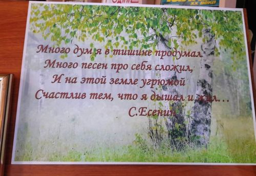 Книжная выставка «Кудрявый гений русской поэзии»