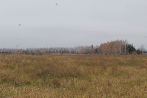 Во вторник в Лаишевском районе ожидаются дожди