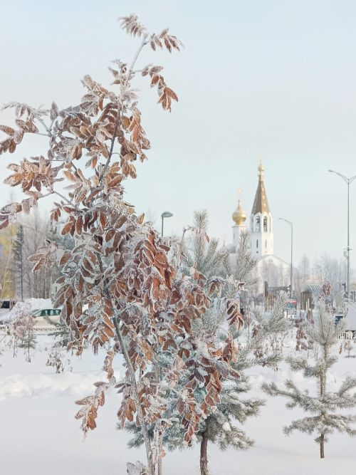 А где-то уже зима