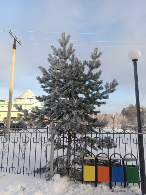 А где-то уже зима