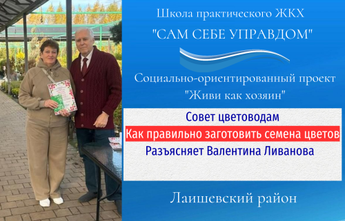 Как правильно заготовить семена цветов для весенней посадки