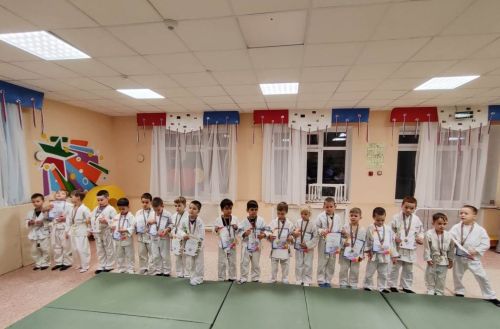 Соревнования по дошкольному дзюдо в «Ромашке»: праздник спорта и мастерства