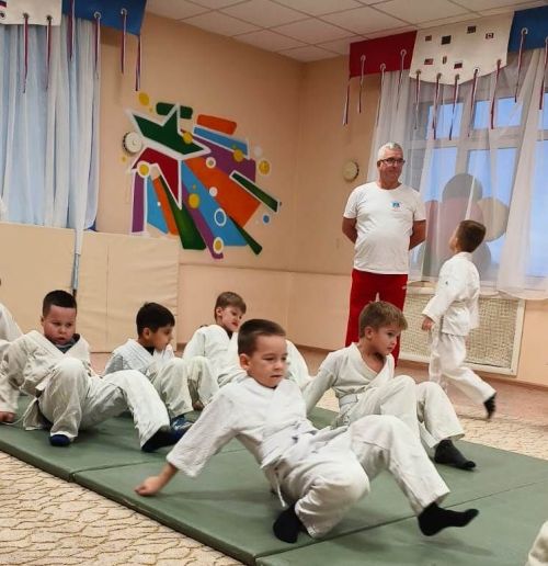 Соревнования по дошкольному дзюдо в «Ромашке»: праздник спорта и мастерства