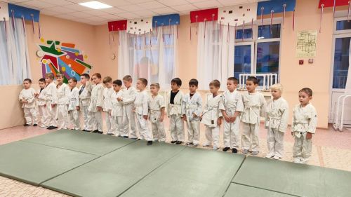 Соревнования по дошкольному дзюдо в «Ромашке»: праздник спорта и мастерства