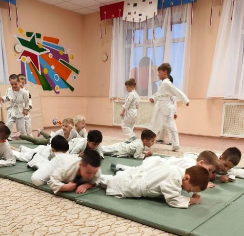 Соревнования по дошкольному дзюдо в «Ромашке»: праздник спорта и мастерства
