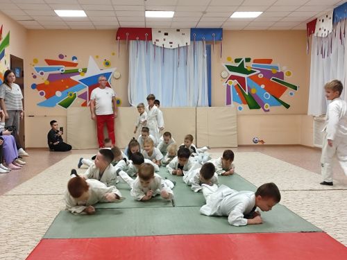 Соревнования по дошкольному дзюдо в «Ромашке»: праздник спорта и мастерства