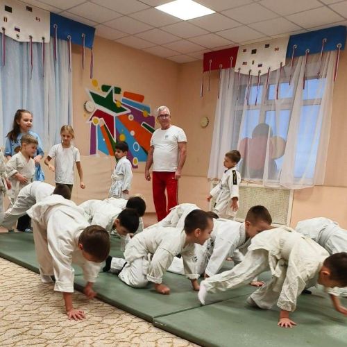 Соревнования по дошкольному дзюдо в «Ромашке»: праздник спорта и мастерства