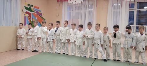 Соревнования по дошкольному дзюдо в «Ромашке»: праздник спорта и мастерства