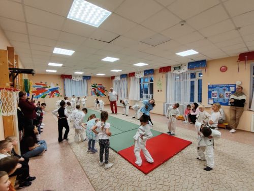 Соревнования по дошкольному дзюдо в «Ромашке»: праздник спорта и мастерства