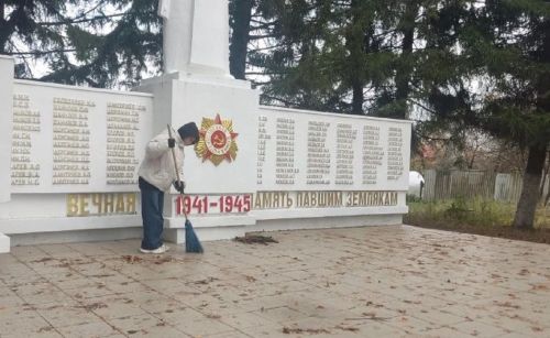 Юнармейцы Лаишевского района участвуют в «Осенней неделе добра»