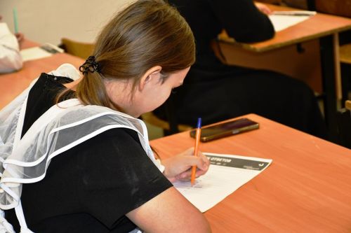 Лаишевские гимназисты писали «Этнографический диктант»