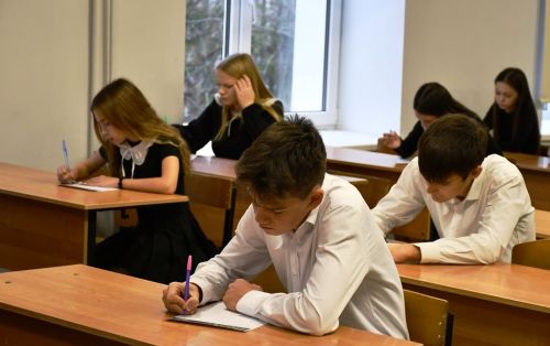 Лаишевские гимназисты писали «Этнографический диктант»