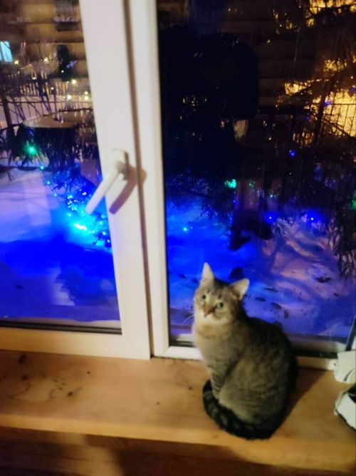 Зимнее настроение от Владимира Андреева
