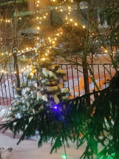 Зимнее настроение от Владимира Андреева