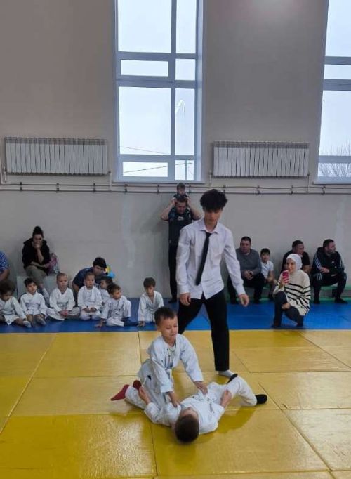 Дзюдо, самбо и сумо: Юные звёзды Лаишево в числе победителей
