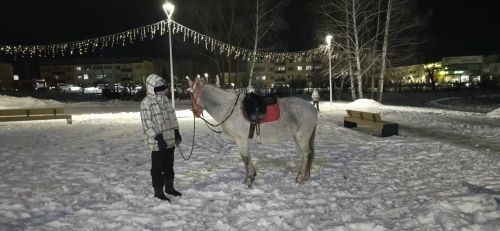 Лаеш районының төп чыршысы утларын кабызды