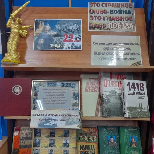 В библиотеке г.Лаишево подготовлена книжная выставка к 80-летию Великой Победы