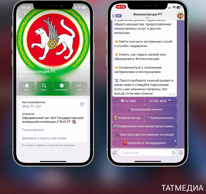 В Жилищную инспекцию Татарстана теперь можно написать, воспользовавшись телеграм-бототом
