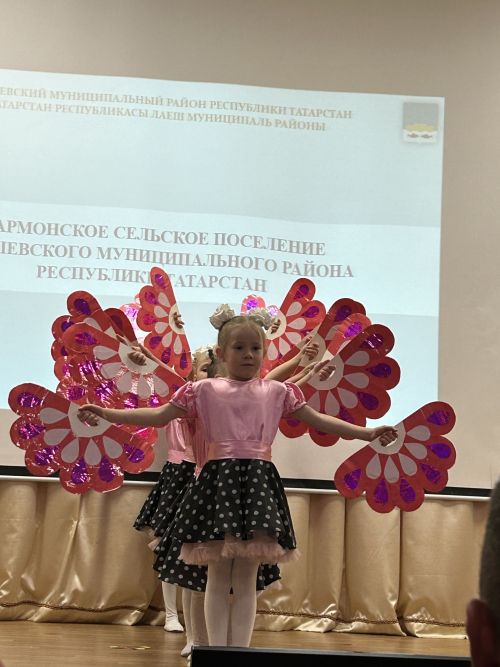В Нармонском сельском поселении Лаишевского района прошла встреча главы района Ильдуса Зарипова с жителями