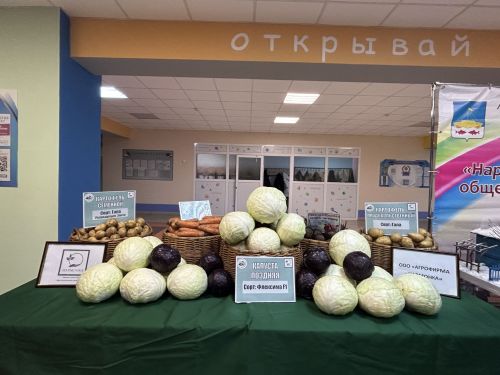 В Нармонском сельском поселении Лаишевского района прошла встреча главы района Ильдуса Зарипова с жителями