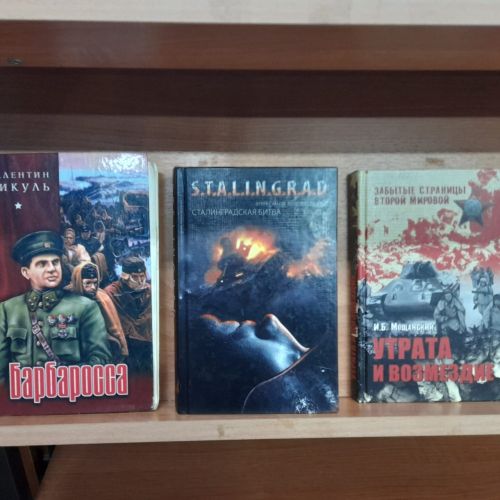 В Лаишевской библиотеке представлена книжная выставка «И превращался в пепел снег…»